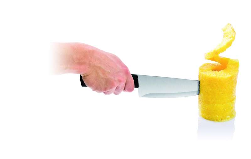 Tescoma Pinapple Slicer Han