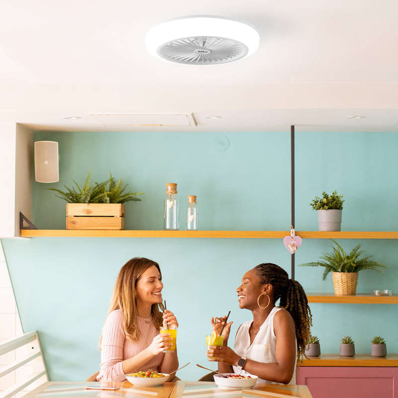 Alva 50Cm Led Light / Ceiling Fan W Remote (White)