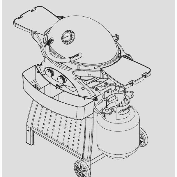 Mondo 2 Burner Gas Bbq & Cart