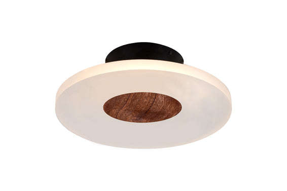 ***Ceiling Series 2063 10w