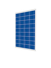 Cinco Solar 50W 36 Cell Poly Panel Off-Grid (Pallet of 38)