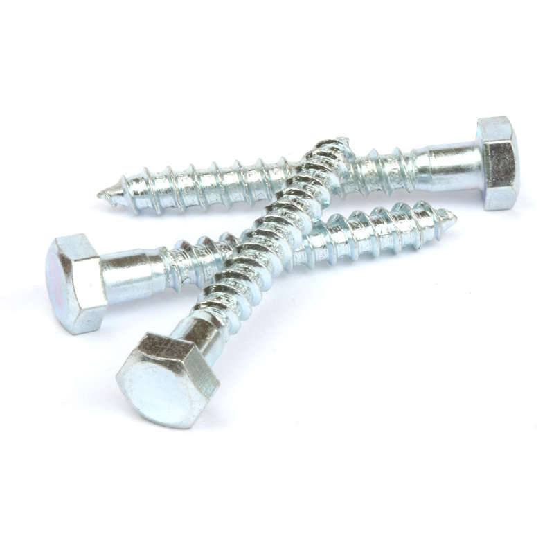 Ifasten Coach Screw M10 X75 Mm 10 Pp