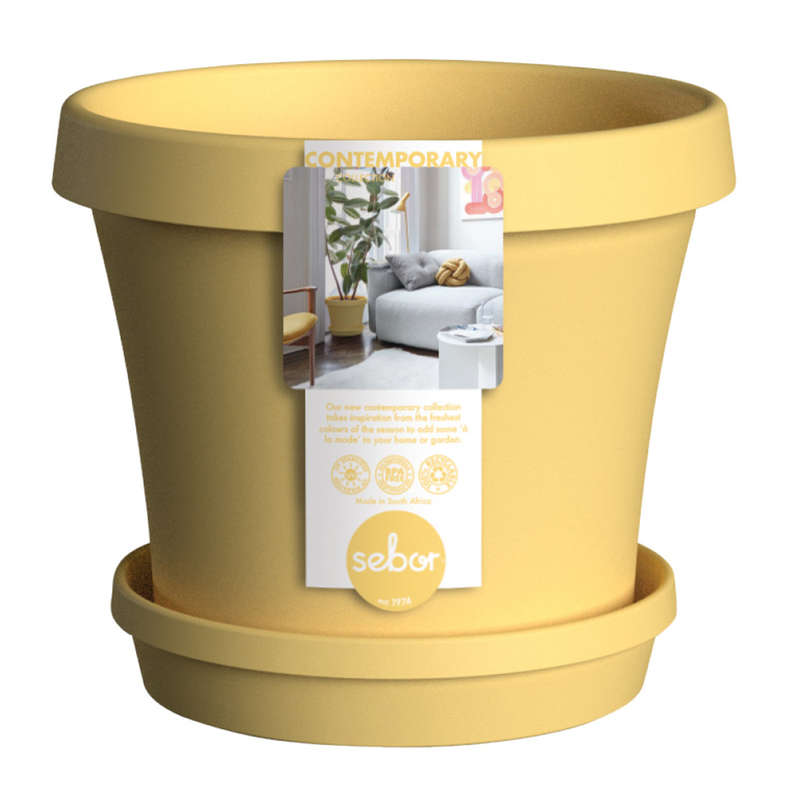 Sebor Suppot & Saucer Set 15 Cm Yellow