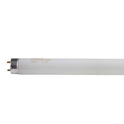 2 Ft T8 Fluorescent Tube 18w G13 6500 K