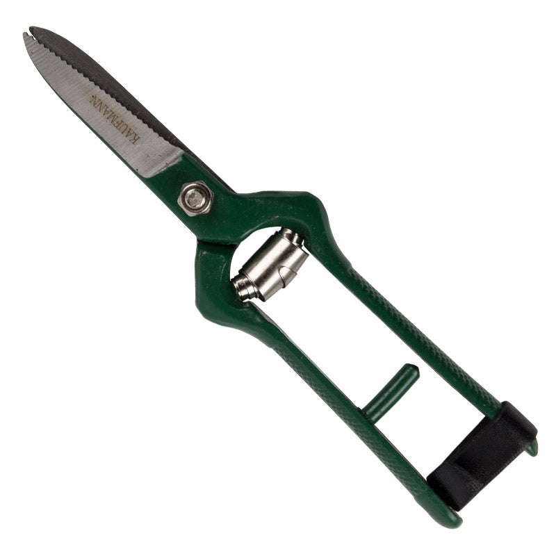 Kaufmann Shear Grape Harvest