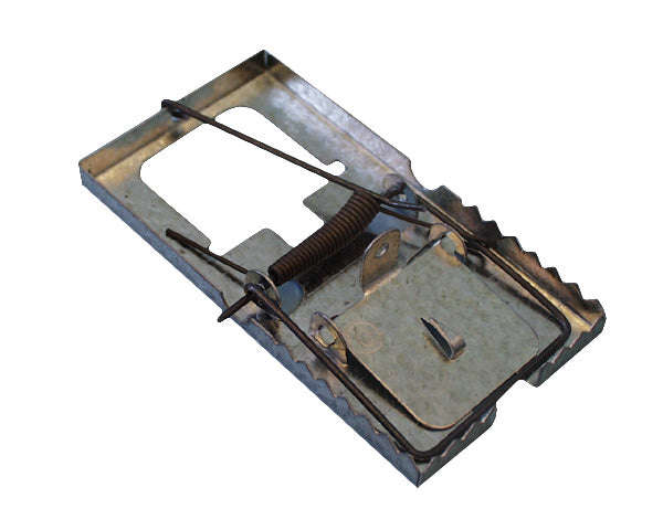 Mouse Trap