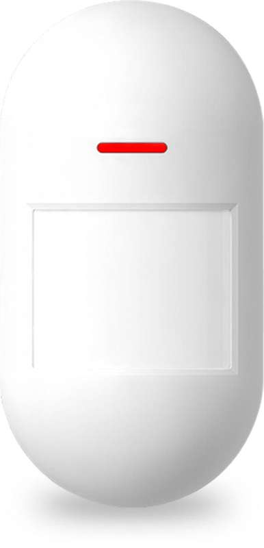 Wireless Motion Detector Acces