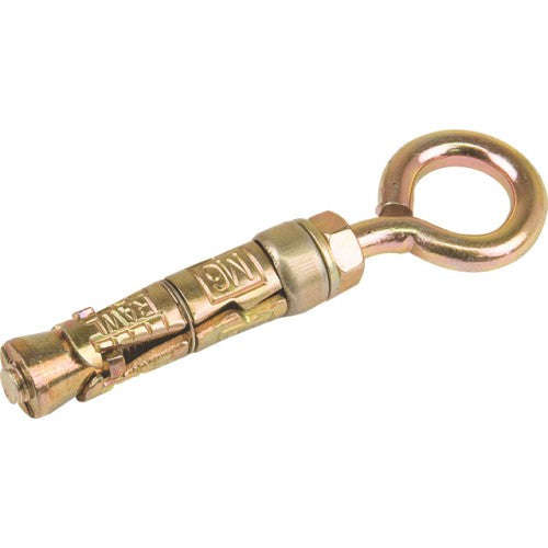 Mackie Bolt Eye Galv 5 X50 Mm P/2