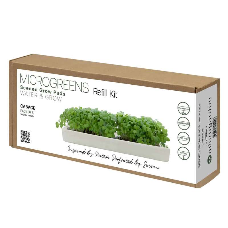 Microgreens Cabbage Refill-Pack of 5