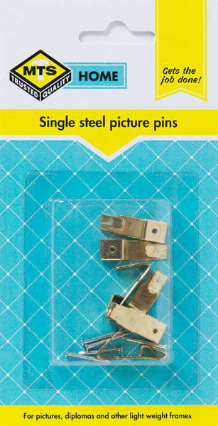 Mts Home Picture Pins Single Steel P/6