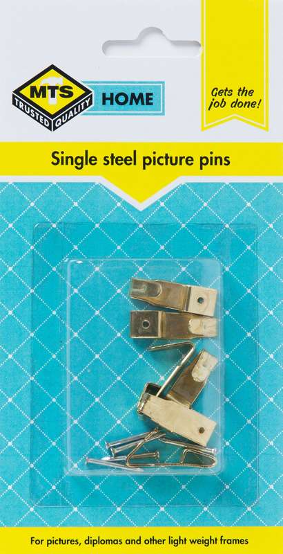 Mts Home Picture Pins Single Steel P/6