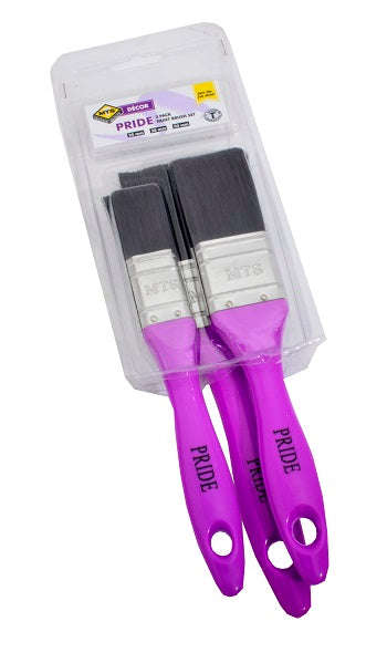 Brush Paint Set Pride 3 P(25 38 50)