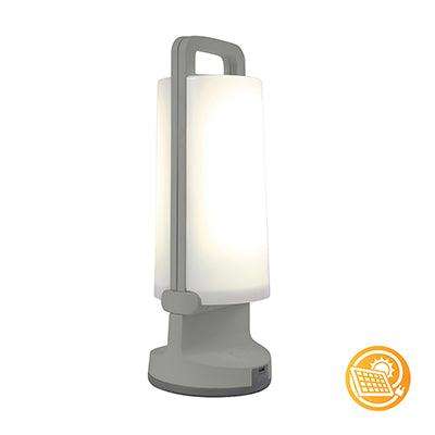 ***Solar Portable Dragonfly Light Grey