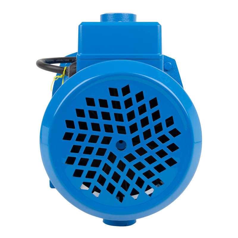 Pascali Pump Centrifugal 0.55 Kw 230 V