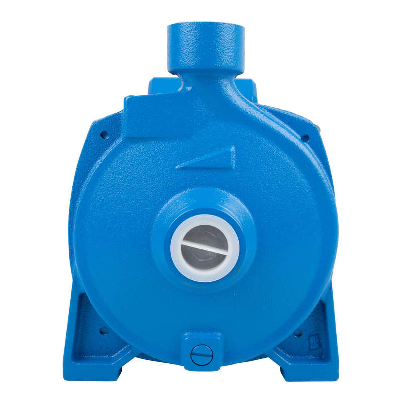 Pascali Pump Centrifugal 0.55 Kw 230 V