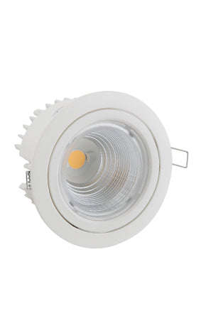 ***Ivela Dixit Ra11 Oscill Downlight Led 21w White 4000 K