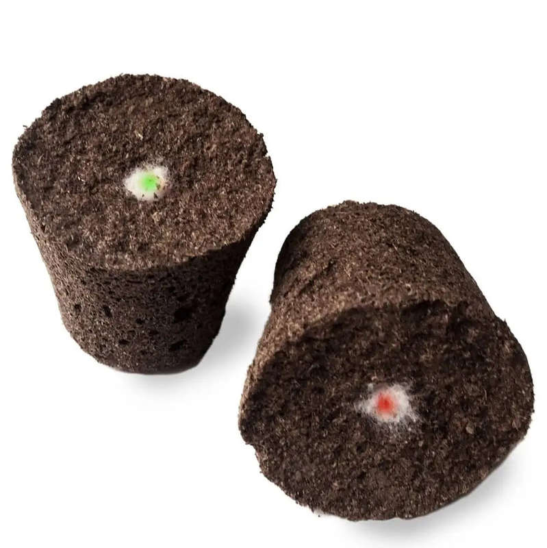 Catnip - Plant Pod - Pack of 3