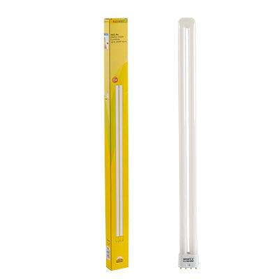 Fluorescent Cfl 2 G11 4 Pin 55w 4000 K