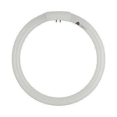 T5 Fluorescent Circline 22w G10q 4000 K