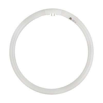T5 Fluorescent Circline 32w G10q 4000 K