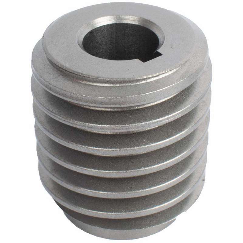 Pcs Elevation Control Worm (30 000442 00)