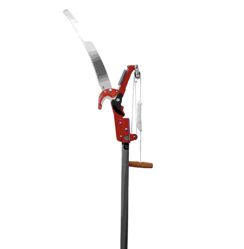 Professional Compound Action Tree Pruner