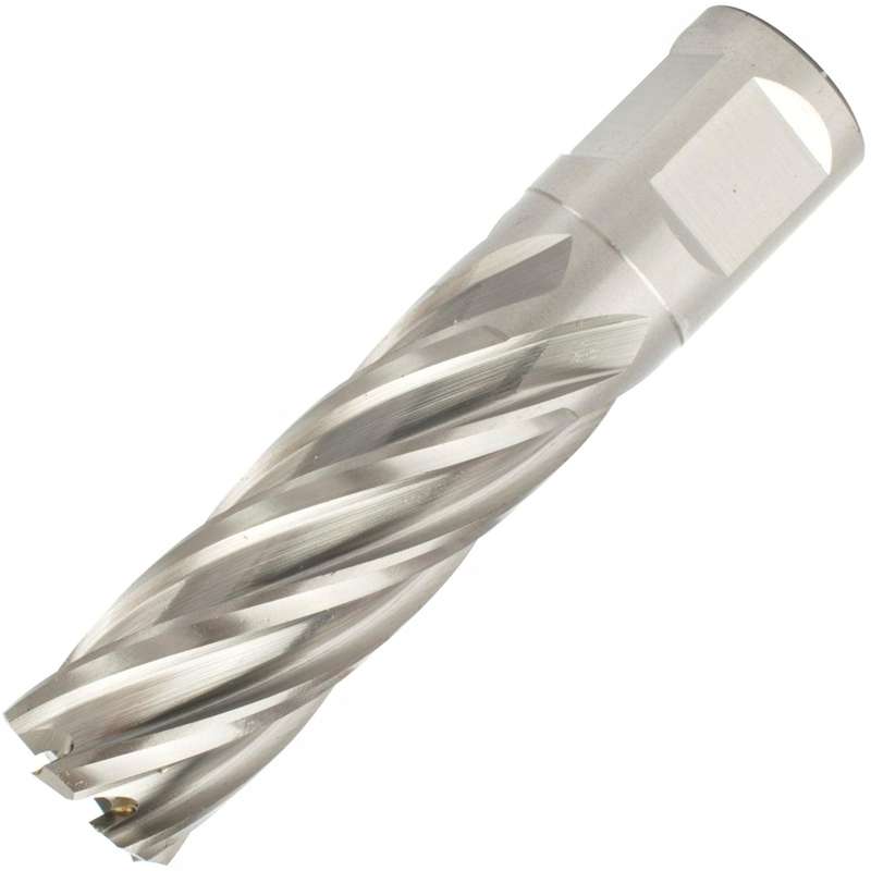 Annular Hole Cutter Hss 19 X 55 Mm Weld Shank 19.05 Mm