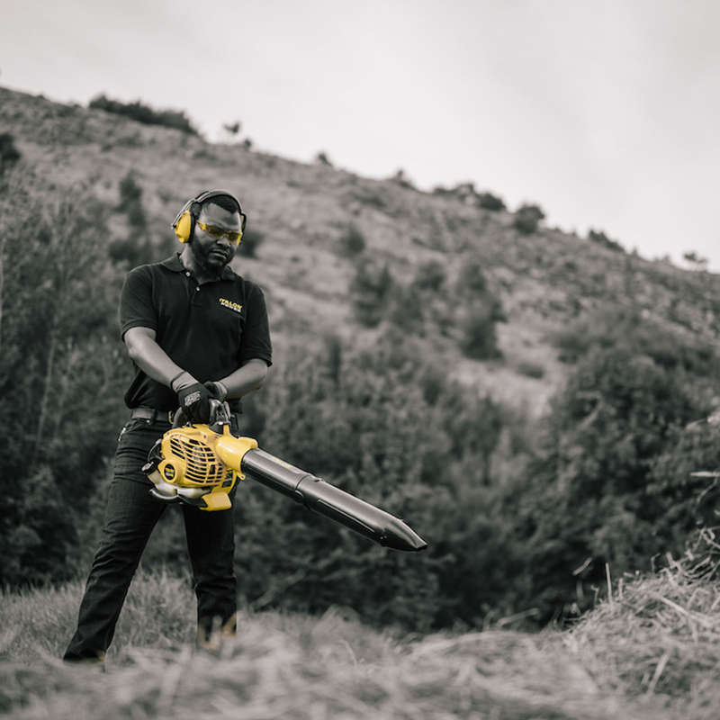 Talon Petrol Blower Handheld 26 Cm