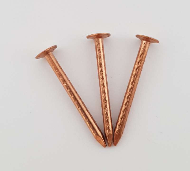 Nail Clout Copper 50 Mmx200 G P/P Tuftex