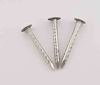 Nail Clout Galv 25 Mmx500 G Cp Tuftex