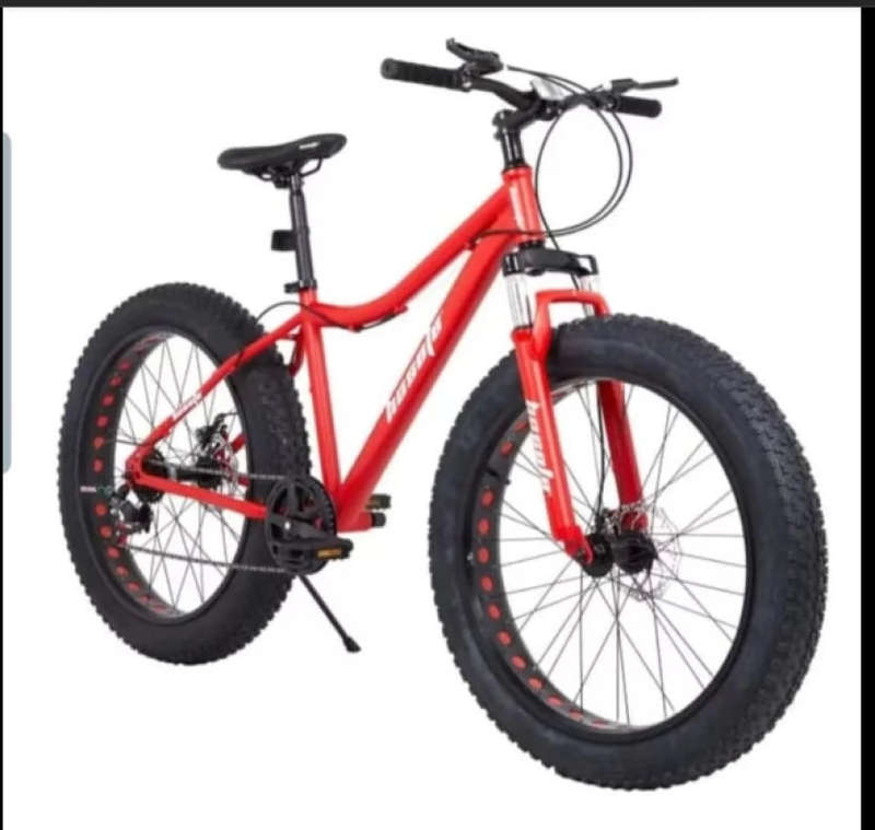LEBRONY 26 INCH GENERIC BICYCLE 26 INCH BICYCLE 26 inch  (21 Gear, Red)
