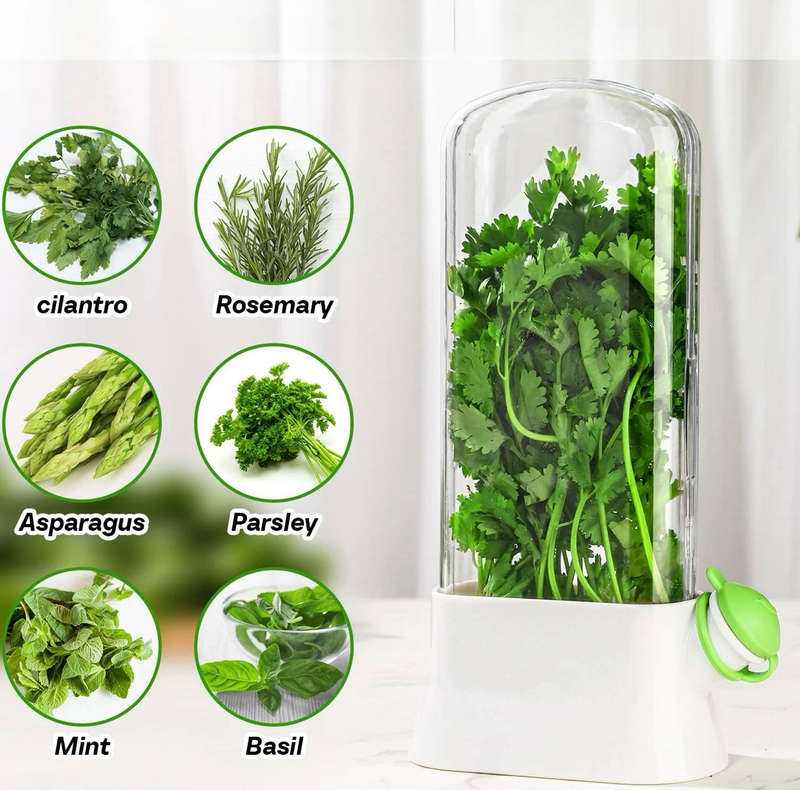 MHome Vegetable & Herb Preserver Pod
