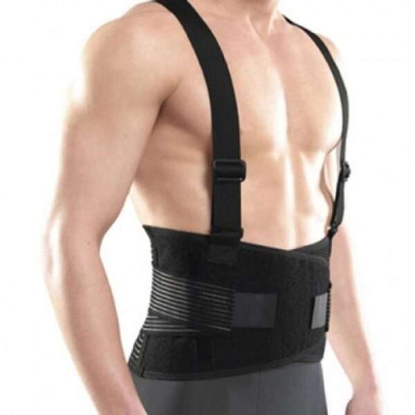 YC-6135 Adjustable Lumbar Back Support Belt  Spine & Muscle Support for Lower Back Pain, Herni...