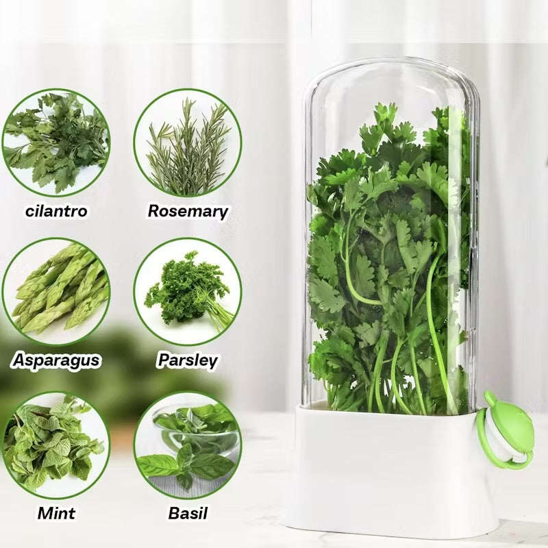 MHome Vegetable & Herb Preserver Pod