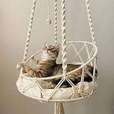 Cat Hammock Hanging Cat With Macrame Hanging Cat Hammock