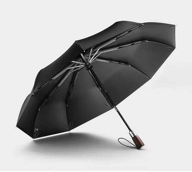 Foldable Umbrella