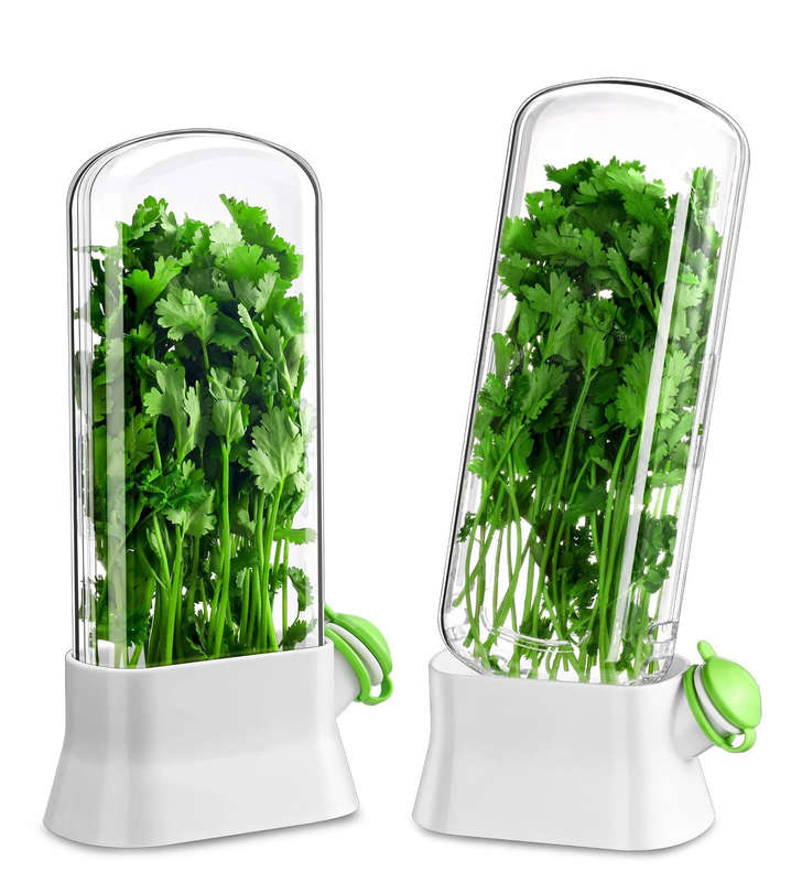MHome Herb Saver For Refrigerator  Single Herb Keeper Pod