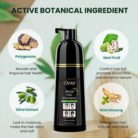 Black Hair Dye Shampoo, Semi-Permanent Hair Color,Instant Hair Dye Black For Men & Women -400ml