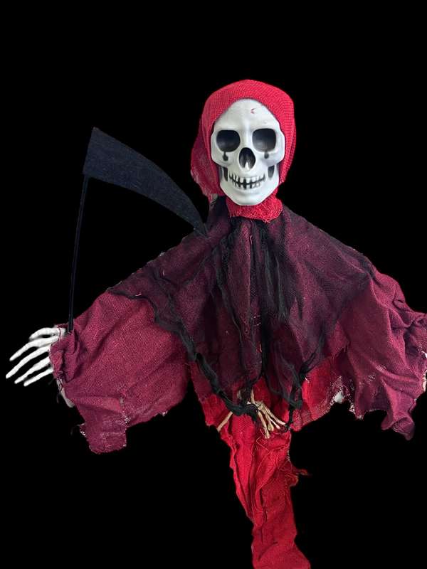 Scary Skeleton Deco