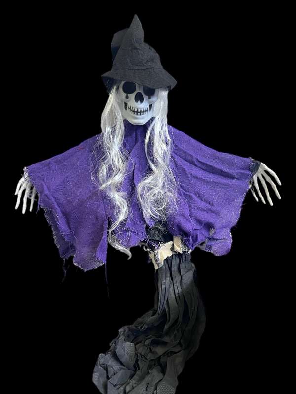 Scary Skeleton Deco