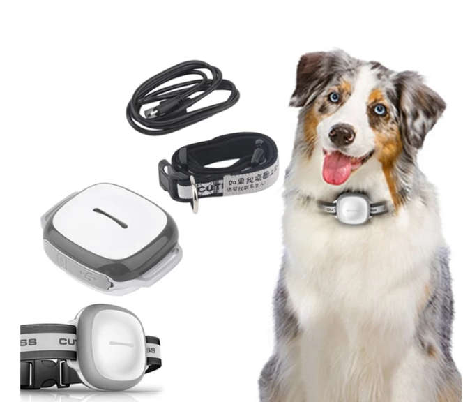 Trackable Dog Collar-GPS Tracker Waterproof IP66 Pet Collar GPS Locator Vibration Alarm Function ...