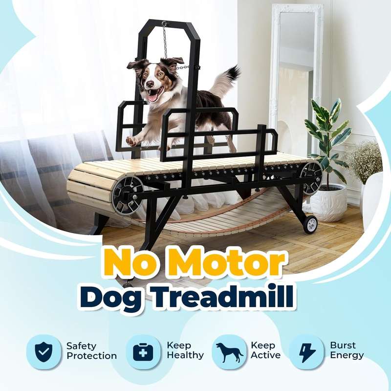 Heavy Duty Pet Dog Running Fitness Dog treadmill Walking Machine With Unpowered treadmill for dog...