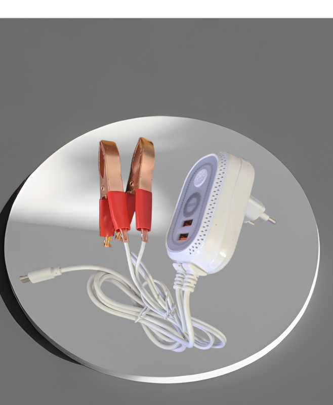 Smart Charger