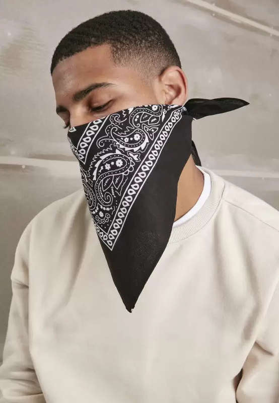 Paisley Print Bandana