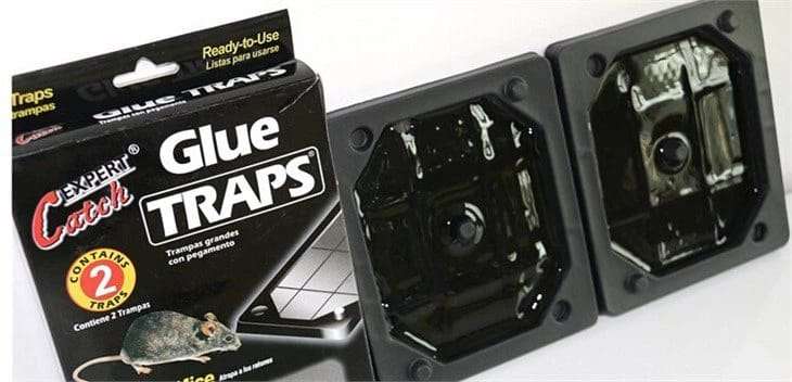 Mouse Glue Tray