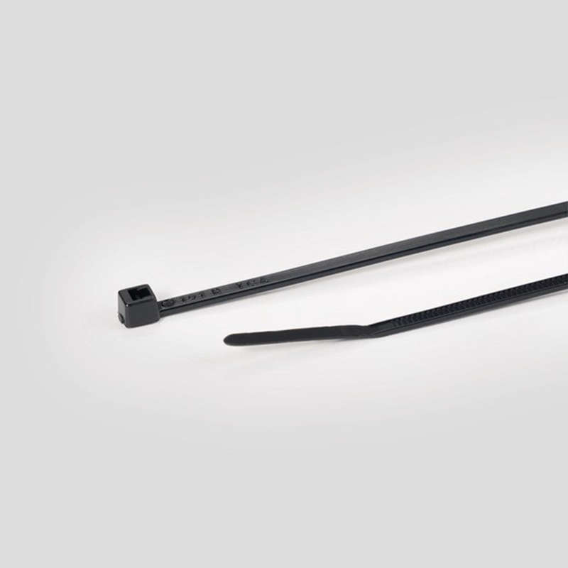 Cable Tie Inside Serrated (101.6mm x 2.5mm, Ø1.522.0mm) T18R