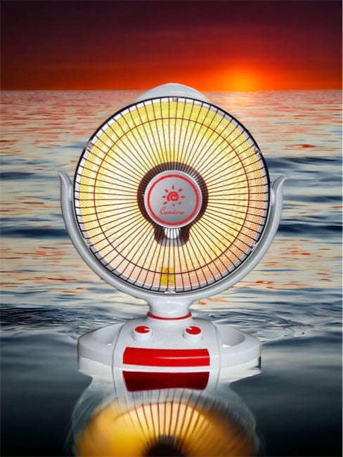 Halogen Heater Fan with Swivel & Turn Functions 800W  - ZR-4001