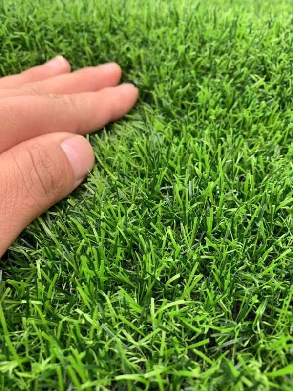 Artificial Grass p/m2 10mm pile height
