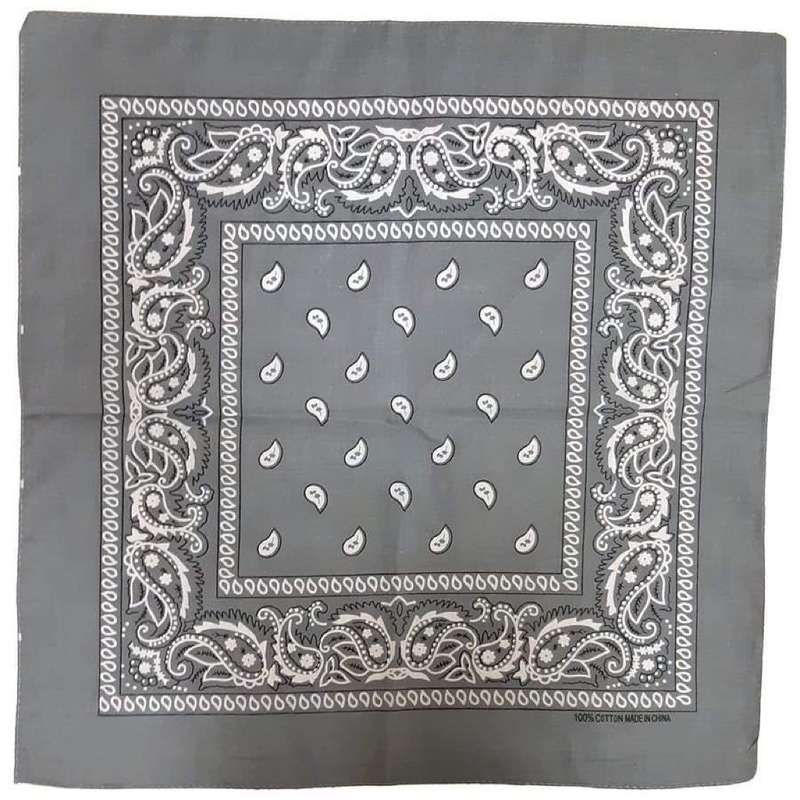 Paisley Print Bandana
