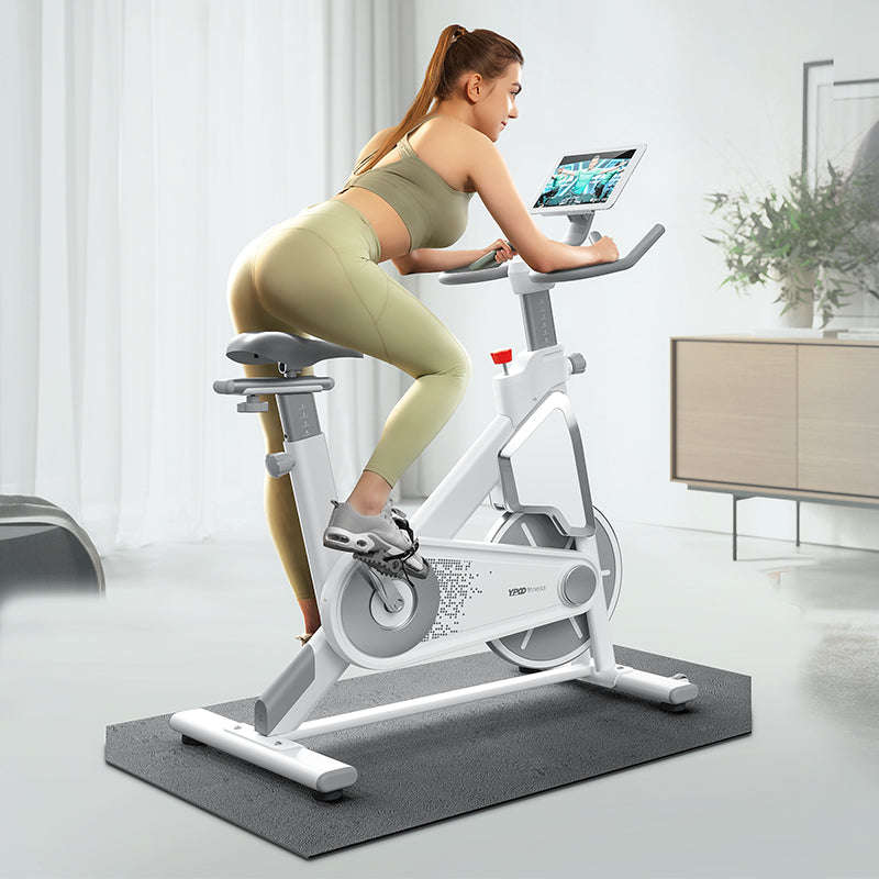 D3  Magnetic Resistance Indoor Spinning Bike